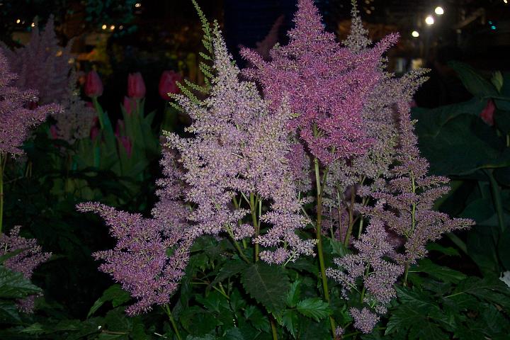 L_W 096.jpg